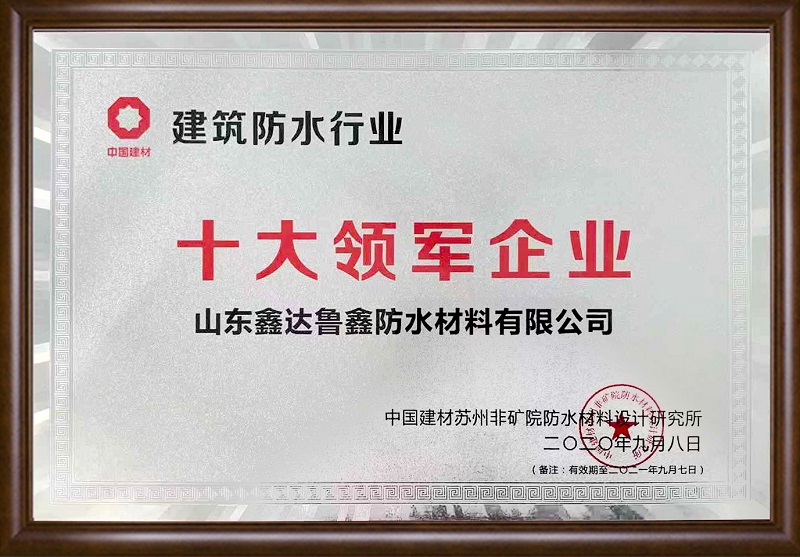 Top 10 leading enterprises