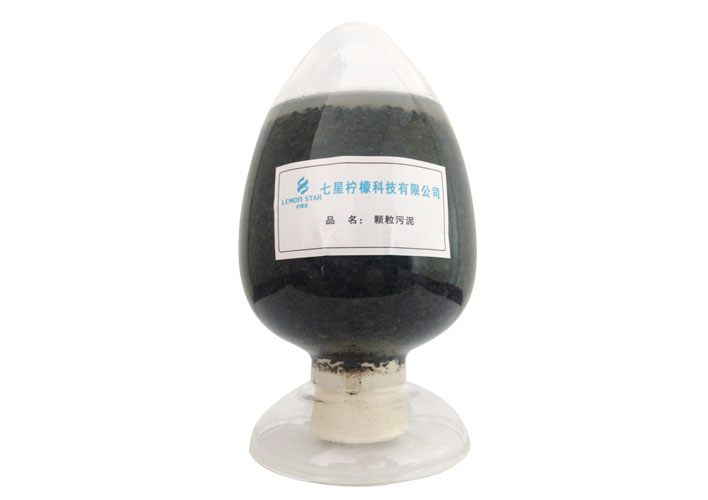 厌氧颗粒污泥<br/>Anaerobic granular sludge