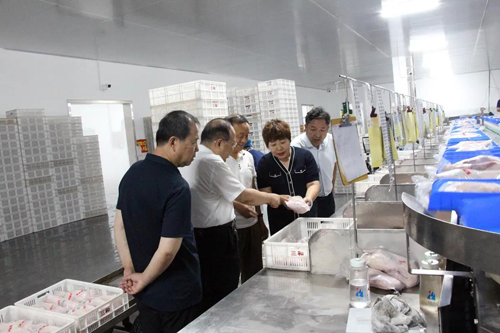 升級(jí)發(fā)展 縣工信局、促進(jìn)會(huì)到三和食品和祺龍電子走訪調(diào)研